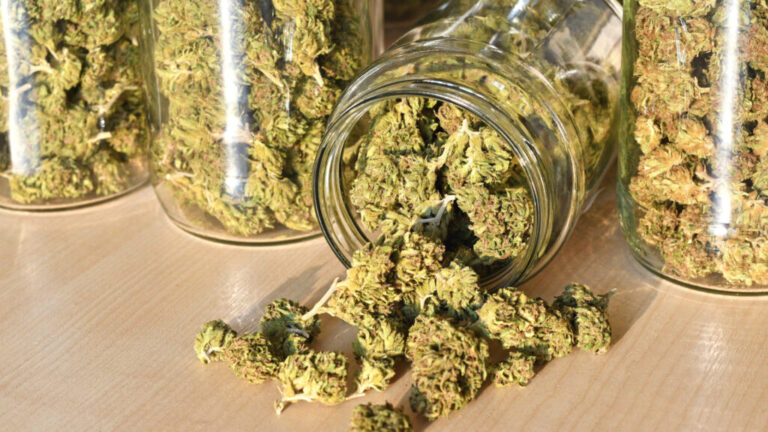 How to Store Bulk Weed