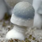 albina penis envy mushroom in uk