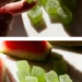 watermelon 4