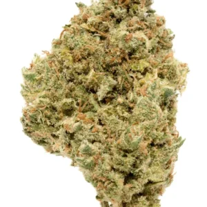 Buy Jack Herer Strain Online