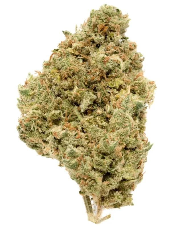 171207_45517_JackHerer_SAF_1-1-768x1024-1.webp
