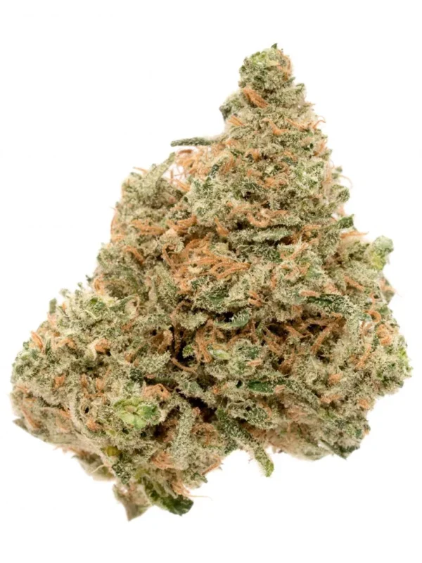 171214_38919_DurbanPoison_SAF_1-2-768x1024-1.webp