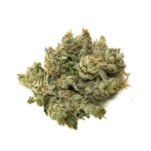 Buy Authentic OG Kush Online Now