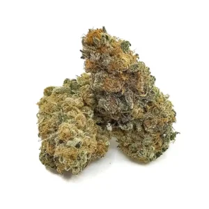 Buy Black Cherry Punch strain online