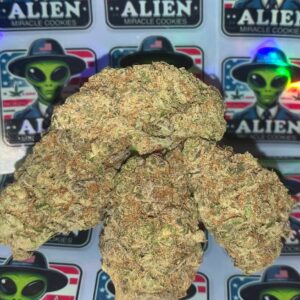 Buy Alien Miracle Cookies Strain in the UK