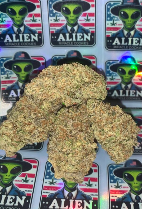 Buy Alien Miracle Cookies Strain in the UK