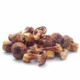 BRAZILIAN MUSHROOM