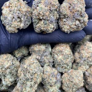 Buy Gelato#41 Strain in the UK