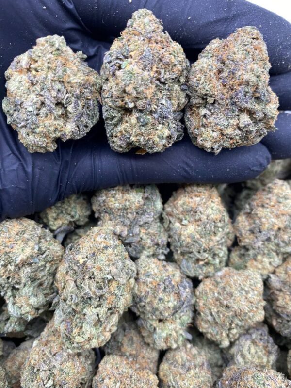 Buy Gelato#41 Strain in the UK