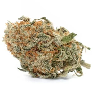 Buy Banana Bread Strain in the UK