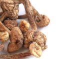 Buy Brazilian Magic Mushrooms in UK