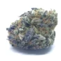 Buy Gorilla Glue Strain UK