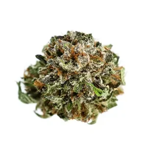 Buy LSD Strain Online