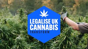 Can I buy weed with bitcoins for next day delivery in UK 🇬🇧?