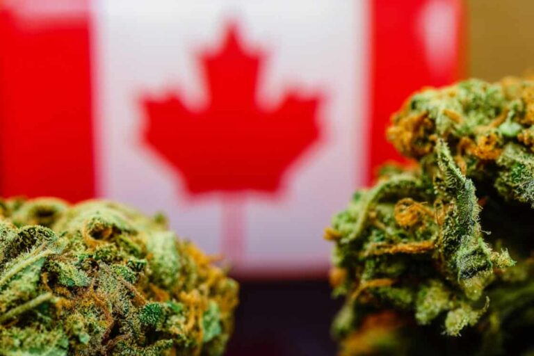 Canada’s Cannabis Act Allows 18 and Older to Use Cannabis