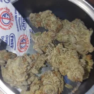 Space Monkey Meds White Buffalo