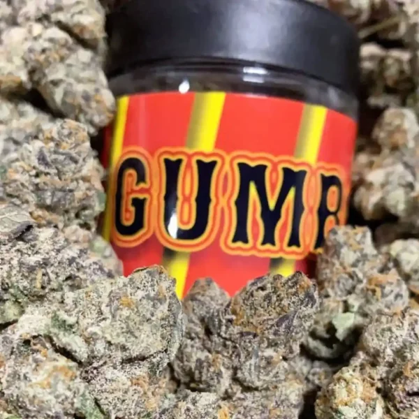 Order Gumbo Strain Online
