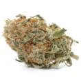 Buy Banana Bread Strain in the UK