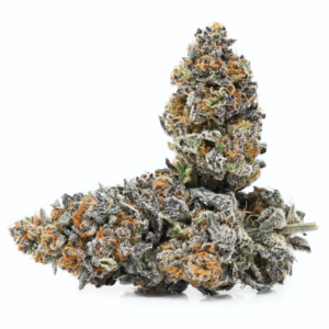 Buy Sunset Sherbet Strain in UK