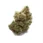 Best Place To Buy Bruce Banner Strain in UK