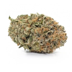 Buy Gelato Strain in UK