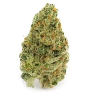 Super Lemon Haze Strain – Citrusy and Energizing