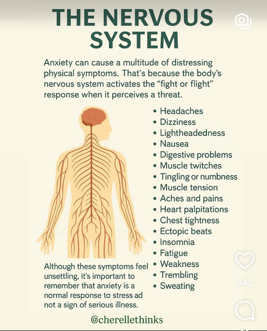 THE NERVOUS SYSTEM