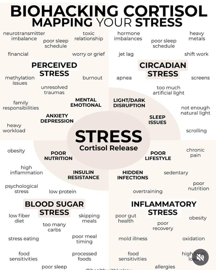BIOHACKING CORTISOL MAPPING YOUR STRESS