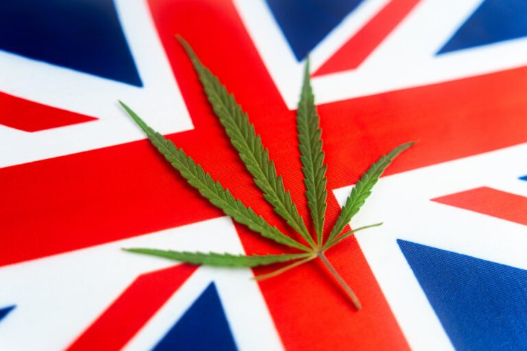 Will Marijuana ever be legalised in the UK?